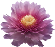 een detailopname van een woestijn wilde bloemen in levendig kleuren, met delicaat details. ai-gegenereerd. png