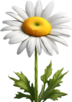 A cartoon daisy with green leaves and bright white petals. Ai-generated. png