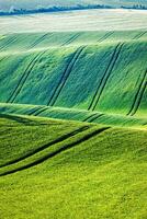 Rolling landscape of South Moravia photo