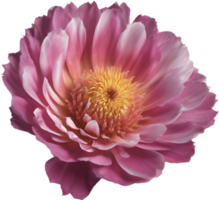 een detailopname van een woestijn wilde bloemen in levendig kleuren, met delicaat details. ai-gegenereerd. png