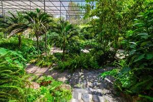 The cold house Estufa Fria is a greenhouse with gardens, ponds, plants and trees in Lisbon, Portugal photo