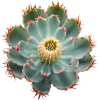 A vibrant cactus flower in full bloom. Ai-generated. png