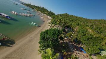 fpv Drohne fliegend Über Palme Bäume auf Strand beim hoch Geschwindigkeit video