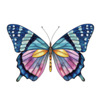 A blue and pink butterfly with brown wings The butterfly is painted in watercolor png