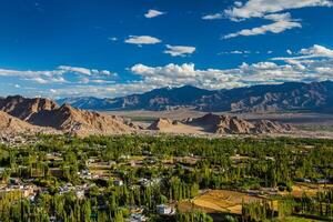 ver de leh, India foto