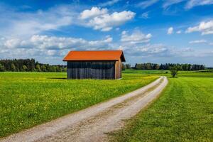 Summer meadow with shed photo