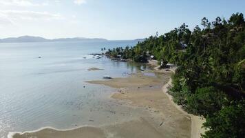 Shoreline at low tide in the Philippines video