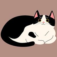 cat different pose draw vector