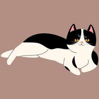 cat different pose draw vector