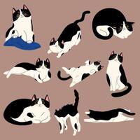 cat different pose draw vector