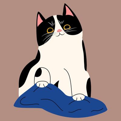 cat different pose draw