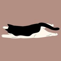 cat different pose draw vector