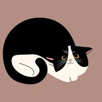 cat different pose draw vector