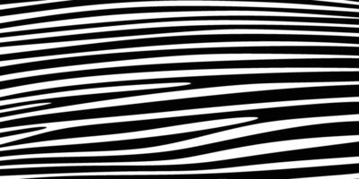 Zebra pattern design. background. vector