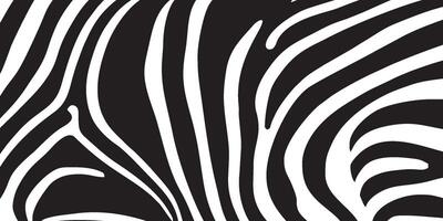 zebra pattern background vector