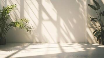 The shadow from plants cast on an empty wall. photo