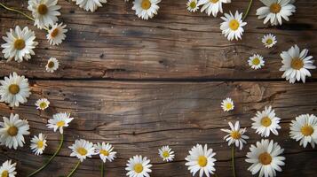 A background of vibrant white daisies scattered around a rustic wooden surface. photo