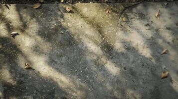 A top-down photography of a dirty driveway with a concrete texture. photo