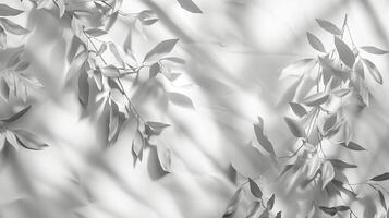 Shadows from leaves on white background in the style of abstract nature. photo