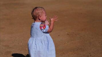 bebê caminhando em de praia com braços estendido video