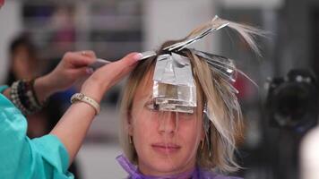 hermosa mujer consiguiendo Corte de pelo por peluquero en el belleza salón video