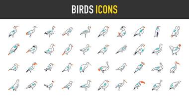 Birds icons set. Such as heron, peacock, crane, duck, flamingo, avocet, eagle, falcon, hen, humming, kingfisher, kiwi, ostrich, owl, parrot, penguin, pigeon, raven, sparrow icon illustration. vector