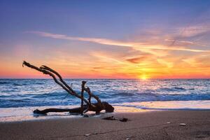 ld madera maletero engancharse en agua a playa en hermosa puesta de sol foto