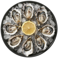 Fresh oysters in the middle are lemon slices on a black plate, transparent background png