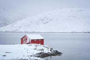 Red rorbu house in winter, Lofoten islands, Norway photo