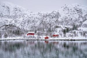 Rd rorbu houses in Norway in winter photo