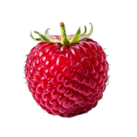 Raspberry on transparent background png