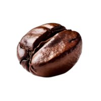 Coffee bean on a transparent background png