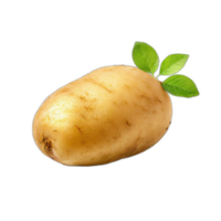 Potato with leaf on it on a transparent background png