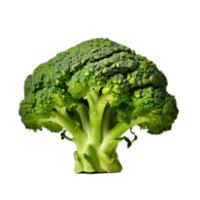 Broccoli on a transparent background png