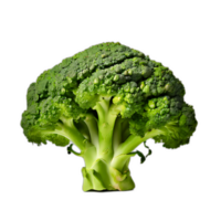 brocoli sur fond transparent png