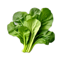 Swiss chard vegetables on a transparent background png