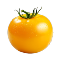 Yellow tomato on transparent background png