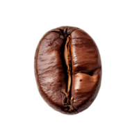 Kaffee Bohne auf transparent Hintergrund png
