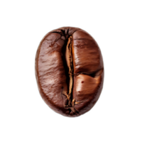 kaffe böna på transparent bakgrund png