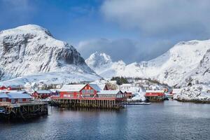 A village on Lofoten Islands, Norway photo