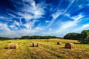 Hay bales on field photo