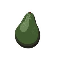 Fresh whole green avocado isolated on white background. Side view clipart. Food illustration in flat style. Summer clipart for design of card, banner, flyer, sale, poster for party vector