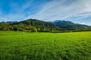 Alpine meadow in Bavaria, Germany photo