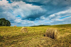 verano paisaje con heno fardos en campo foto