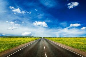 Road in blooming spring meadow photo