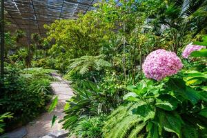 The cold house Estufa Fria is a greenhouse with gardens, ponds, plants and trees in Lisbon, Portugal photo