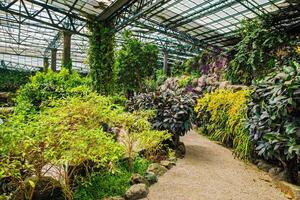 The cold house Estufa Fria is a greenhouse with gardens, ponds, plants and trees in Lisbon, Portugal photo