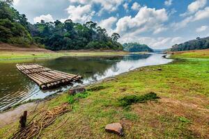 bambú balsa en periayar fauna silvestre santuario, periyar, kerala, India foto