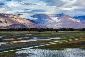 Nubra valley, Ladakh, India photo