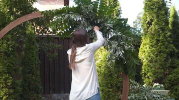 profissional florista trabalhador decora festivo arco para cerimonial casamento cadastro. mulher instalando Casamento decoração. decorador decorar arco ao ar livre Casamento cerimônia com flores e vegetação. video